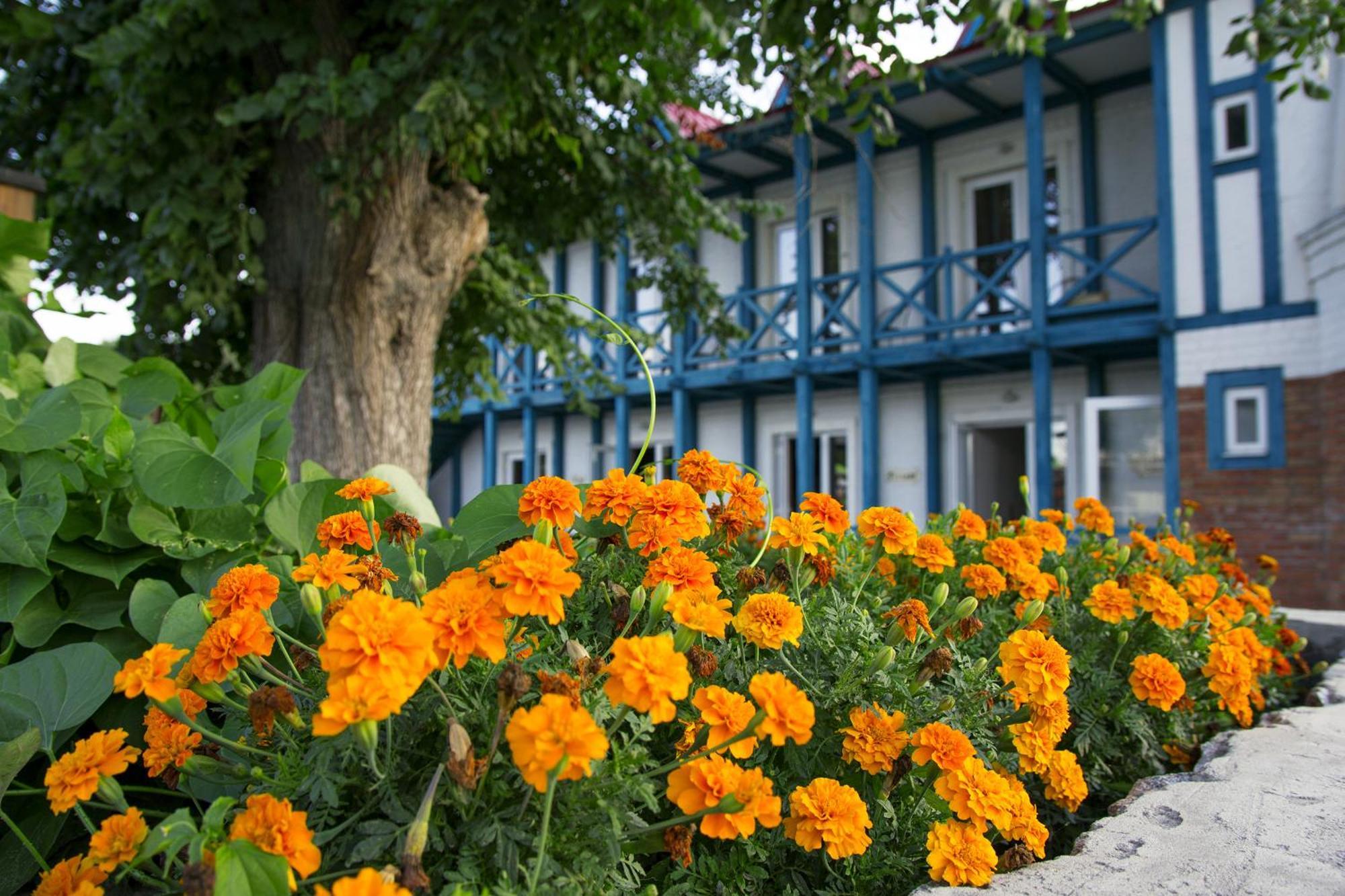 Mayak Resort Kam'yani Potoky Exterior foto